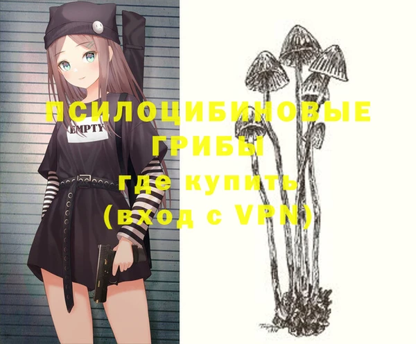экстази Пересвет