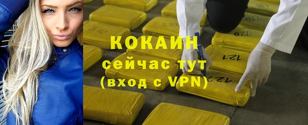 соль ск Богородицк