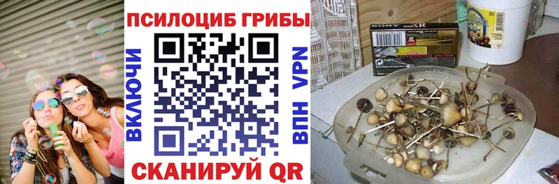 как найти   Тогучин  Псилоцибиновые грибы мухоморы 